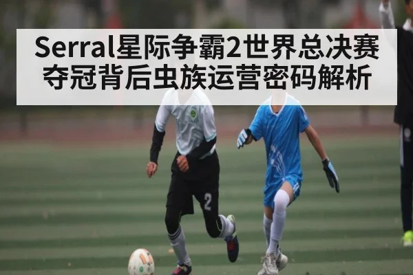 Serral星际争霸2世界总决赛夺冠背后虫族运营密码解析
