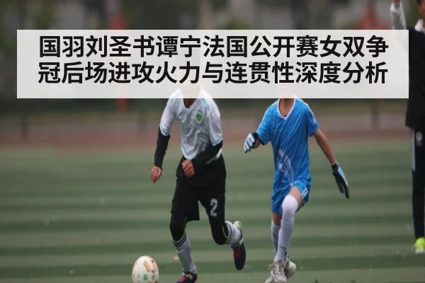 国羽刘圣书谭宁法国公开赛女双争冠后场进攻火力与连贯性深度分析